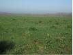 Vend terrains  btir Pas de Calais court-Saint-Quentin