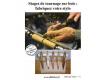 Stage de tournage d'un stylo en bois - Tours(37) Indre et Loire Tours