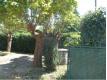 Entretien Parcs et jardins Lot Saint-Denis-Catus