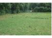 A vendre terrain constructible Ain Lagnieu