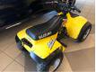 Suzuki Quad Runner LT50 Loire Atlantique Nantes