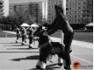 Animations sportives et ludiques Ctes d'armor Trmel