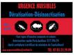 Intervention dsinfection nuisibles paris/banlieue Paris Paris