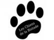 LES CHIENS DE LA BISTADE Pas de Calais Audruicq