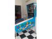  Flipper Super Mario Bros Garonne (Haute) Aussonne
