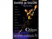 Cours de Danse de Salon - Valse Rock Salsa Paso Samba - Lille Nord Villeneuve-d'Ascq