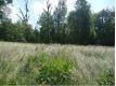 BONDUES : Croix Blanche, Terrain  btir viabilis et pture sur e... Nord Bondues