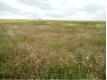 TERRAIN CONSTRUCTIBLE SUR VUE DOMINANTE !!! Charente Saint-Amant-de-Boixe