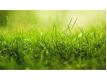 Terrain  btir de 496 m2  Pagny-sur-Moselle Meurthe et Moselle Pagny-sur-Moselle