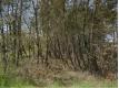 Terrain constructible 15 minutes de Saint Andr de Cubzac Gironde Saint-Yzan-de-Soudiac