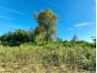 Terrain constructible, viabilis et libre de constructeur Gironde Landiras