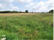 Terrain de 800 m Seine et Marne Dammartin-en-Gole