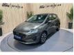 Ford Fiesta 1.0 Flexifuel 95 ch S&S BVM6 Titanium Business Rhne Vnissieux