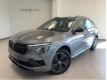 Skoda Kamiq 1.0 TSI Evo 2 116 ch DSG7 Monte Carlo Cte d'or Ladoix-Serrigny