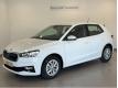 Skoda Fabia 1.0 TSI 95 ch BVM5 Ambition Vaucluse Carpentras