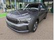 Skoda Kodiaq 1.5 TSI 204 ch Hybride Rechargeable PHEV DSG6 5pl Selection Vaucluse Avignon