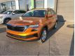 Skoda Karoq 1.0 TSI Evo 2 116 ch Selection Vaucluse Avignon