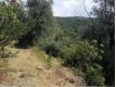 terrain Alpes Maritimes Cantaron