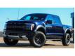 Ford F 150 RAPTOR TTC Seine Maritime Le Havre