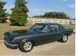 Ford Mustang v8 boite mcanique 4 Seine Maritime Le Havre