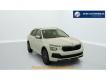 Skoda Kamiq 1.0 TSI Evo 2 95 ch BVM5 Selection Rhin (Bas) Mertzwiller