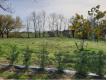 Superbe terrain  Btir  10 mn de Marmande Lot et Garonne Birac-sur-Trec