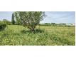 MAISON 195 m plein pied  finir de restaurer Gard Barjac