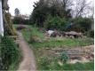 terrain libre constructeur Eligible dfiscalisation Loire Atlantique Vertou