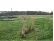 Terrain libre constructeur - Hors lotissement Loire Atlantique Le Bignon