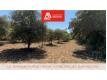 Terrain constructible 725 m - Grignan Drme Grignan