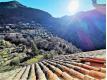 LA BOLLENE VESUBIE Alpes Maritimes La Bollne-Vsubie
