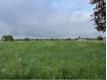 TERRAIN CONSTRUCTIBLE 800m2 Gironde Bazas