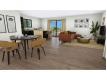 BELLE MAISON PLAISANCE DU TOUCH Garonne (Haute) Plaisance-du-Touch
