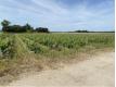 TERRAIN  BATIR Gironde Portets