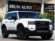 Toyota Land Cruiser 204 D-4D LEGENDE BVA 2 PLACES GRUAU Alpes Maritimes Villeneuve-Loubet