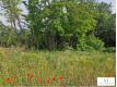 Terrain constructible viabilis et born Drme Les Tourrettes