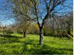 Terrain constructible Garonne (Haute) Thil