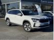 Skoda Kodiaq 2.0 TDI 150 ch SCR DSG7 7pl Selection Vienne (Haute) Feytiat