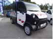 Aixam d-truck PLATEAU RIDELLE Var Hyres