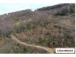 TERRAIN FORESTIER 42 000 M Drme Mirmande