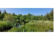 TERRAIN DE LOISIRS AVEC PARCELLE D ETANG - 5MIN ABBEVILLE Somme Cambron