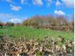 20 MINUTES D'ABBEVILLE ET 40 D'AMIENS TERRAINS CONSTRUCTIBLES Somme Conteville