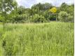 Terrain Oise Rosoy