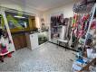 Toilettage Hrault Agde