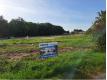 Terrain  batir Etaules Charente Maritime taules