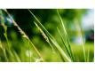 Terrain  btir Svres (Deux) Vouill