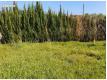 Terrain  vendre  Albi Tarn Albi