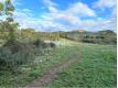 Terrain constructible Gard Fons-sur-Lussan