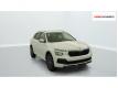 Skoda Kamiq 1.0 TSI Evo 2 95 ch BVM5 Selection Loire Saint-Laurent-la-Conche
