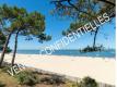 Villa a renover sur grande parcelle double entres Gironde Arcachon